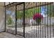 Backyard with gate with a view of a paved patio, a shed, and lush landscaping at 16235 W Cottonwood St, Surprise, AZ 85374