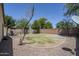Backyard featuring a block wall with rock and sparse grass at 17953 N Lettere Cir, Maricopa, AZ 85138