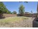 Backyard featuring a block wall, trees, grass, and a blue sky at 17953 N Lettere Cir, Maricopa, AZ 85138