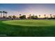 Golf course view with palms at sunset at 22208 N San Ramon Dr, Sun City West, AZ 85375