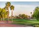 Manicured golf course view with palm trees in foreground, trees, and mountains in background at 22208 N San Ramon Dr, Sun City West, AZ 85375