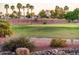 Expansive golf course with manicured greens, mature landscaping, and a red flag at 22208 N San Ramon Dr, Sun City West, AZ 85375