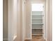Walk-in pantry with multiple shelves and lots of storage space at 22208 N San Ramon Dr, Sun City West, AZ 85375