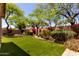 Lush backyard featuring a faux grass lawn, mature trees, vibrant plants, and an inviting seating area for outdoor enjoyment at 22232 N 48Th St, Phoenix, AZ 85054