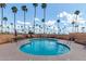 Community pool surrounded by lounge chairs, tables, and swaying palm trees at 2700 E Allred Ave # R87, Mesa, AZ 85204