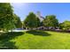 A lush backyard boasts mature fruit trees, a well-manicured lawn, and a view of the sparkling pool at 3209 E Fox St, Mesa, AZ 85213