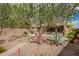 Secluded backyard with desert landscaping, mature shade trees, and patio with outdoor furniture at 41202 N Rolling Green Way, Anthem, AZ 85086