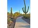 Curving walkway lined with native desert vegetation and towering saguaro cacti under a clear blue sky at 41202 N Rolling Green Way, Anthem, AZ 85086