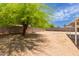 Large, private backyard with mature shade tree, patio area, and block fence at 525 N 94Th Way, Mesa, AZ 85207