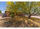Single-story home with mature tree adding shade and character at 525 N 94Th Way, Mesa, AZ 85207