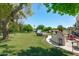 Spacious backyard features lush green grass, trees, hot tub, and decorative concrete wall with patio furniture at 10532 W Catalina Dr, Avondale, AZ 85392
