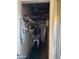 Storage room includes shelves, water heater, and extra storage space at 12123 W Bell Rd # 337, Surprise, AZ 85378