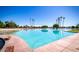 Large community pool with beach entry, lounge chairs, palm trees, and lake views at 1633 E Lakeside Dr # 39, Gilbert, AZ 85234