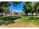 Exterior shot of manicured community green spaces with picnic tables and mature landscaping at 19820 N 13Th Ave # 255, Phoenix, AZ 85027