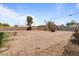 Expansive backyard featuring desert landscaping, secure block fencing, and mature trees under a clear sky at 2144 W 1St Pl, Mesa, AZ 85201