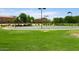 Community basketball court with green field and trees, promoting active living at 28834 N Spur Dr, San Tan Valley, AZ 85143