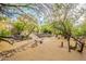 Picturesque backyard with desert landscaping, a stone pathway, and native trees, creating a tranquil outdoor setting at 39017 N Habitat Cir, Cave Creek, AZ 85331