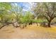 Spacious backyard with mature trees, gravel ground cover, wooden bench, and potential for landscaping design at 39017 N Habitat Cir, Cave Creek, AZ 85331