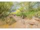A serene backyard with a stepping stone pathway, desert landscaping, and lush trees creating a private retreat at 39017 N Habitat Cir, Cave Creek, AZ 85331