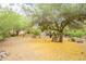 Expansive backyard space featuring lush trees, gravel ground, desert landscaping, and potential for outdoor activities at 39017 N Habitat Cir, Cave Creek, AZ 85331