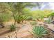 Lush backyard featuring native trees, desert landscaping, and a wood path, creating a peaceful outdoor escape at 39017 N Habitat Cir, Cave Creek, AZ 85331