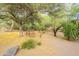 Lush backyard retreat with mature trees, gravel ground cover, wooden bench, and peaceful desert landscaping elements at 39017 N Habitat Cir, Cave Creek, AZ 85331