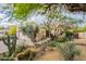 Charming home with desert landscaping, cacti, and a quaint walkway leading to the entrance at 39017 N Habitat Cir, Cave Creek, AZ 85331