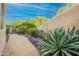 Side yard with a lush array of desert landscaping, stone-lined pathway, and stucco wall at 39017 N Habitat Cir, Cave Creek, AZ 85331