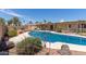 Backyard pool featuring desert landscaping, covered patio, and a serene outdoor living space at 4803 W Harmont Dr, Glendale, AZ 85302