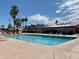 A large pool surrounded by palm trees and lounge chairs on a sunny day at 786 Cinnabar Dr, Apache Junction, AZ 85119