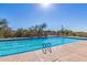 Sparkling community pool with lap lanes, set against a beautiful desert landscape and sunny sky at 10431 E Morning Star Dr, Scottsdale, AZ 85255