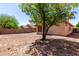 Spacious backyard features desert landscaping, a privacy wall, and a mature shade tree at 12838 W Desert Mirage Dr, Peoria, AZ 85383