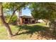 Lush backyard featuring a covered patio, green lawn, and mature trees providing shade and a serene outdoor space at 1329 E Catalina Dr, Phoenix, AZ 85014