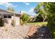 Manicured backyard with gravel pathway, green grass, and desert landscaping, perfect for outdoor enjoyment at 1329 E Catalina Dr, Phoenix, AZ 85014