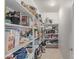 Pantry with organized shelving filled with food and household items at 14107 W Christy Dr, Surprise, AZ 85379