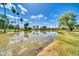 Scenic pond with lush greenery and tall palm trees, perfect for a relaxing stroll and enjoying nature at 1733 N Miller Rd, Scottsdale, AZ 85257