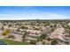 This beautiful neighborhood features well-maintained homes, lush green spaces, and mature palm trees at 1896 E Stephens Dr, Tempe, AZ 85283