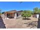 Large open backyard with covered patio, well maintained landscaping, and natural light on a sunny day at 1983 W Allens Peak Rd, Queen Creek, AZ 85144