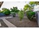 Well-kept backyard with landscaping and a stone walkway, perfect for enjoying outdoor living at 21050 E Tierra Grande --, Queen Creek, AZ 85142
