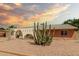 Quaint front of home features a minimalist desert rock garden with a striking mature cactus specimen at 3248 E Windrose Dr, Phoenix, AZ 85032