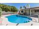 Beautiful backyard featuring a sparkling pool with steps, lush greenery, and an outdoor BBQ area at 3300 N Coronado St, Chandler, AZ 85224