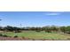 Expansive green space with mature trees, grassy areas, and mountain views at 4050 E Brittlebush Ln, San Tan Valley, AZ 85140