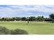 Lush green park with a basketball court, playground, and shaded picnic area at 4050 E Brittlebush Ln, San Tan Valley, AZ 85140