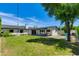 Spacious backyard with lush lawn, mature trees, covered patio, and playground for outdoor enjoyment at 5425 E Avalon Dr, Phoenix, AZ 85018