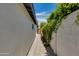 Side yard view includes a walkway leading to a backyard gate at 5425 E Avalon Dr, Phoenix, AZ 85018