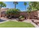Charming backyard nook featuring an outdoor barbecue with lush lawn, landscaping, and patio at 610 S St Paul --, Mesa, AZ 85206