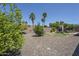 Spacious backyard featuring desert landscaping, mature palm trees and a privacy wall at 9576 W Blue Sky Dr, Peoria, AZ 85383