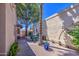 Backyard patio area ideal for entertaining, featuring desert landscaping, shade trees, and a seating area at 11144 N 109Th Way, Scottsdale, AZ 85259