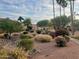 Beautiful landscaping with mature trees and colorful flowers at 11144 N 109Th Way, Scottsdale, AZ 85259