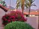 Lush landscaping features bougainvillea and palm trees with a backdrop of picturesque mountain views at 11144 N 109Th Way, Scottsdale, AZ 85259